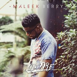 Cover of On Fire