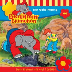 Cover of Folge 99: Der Geheimgang