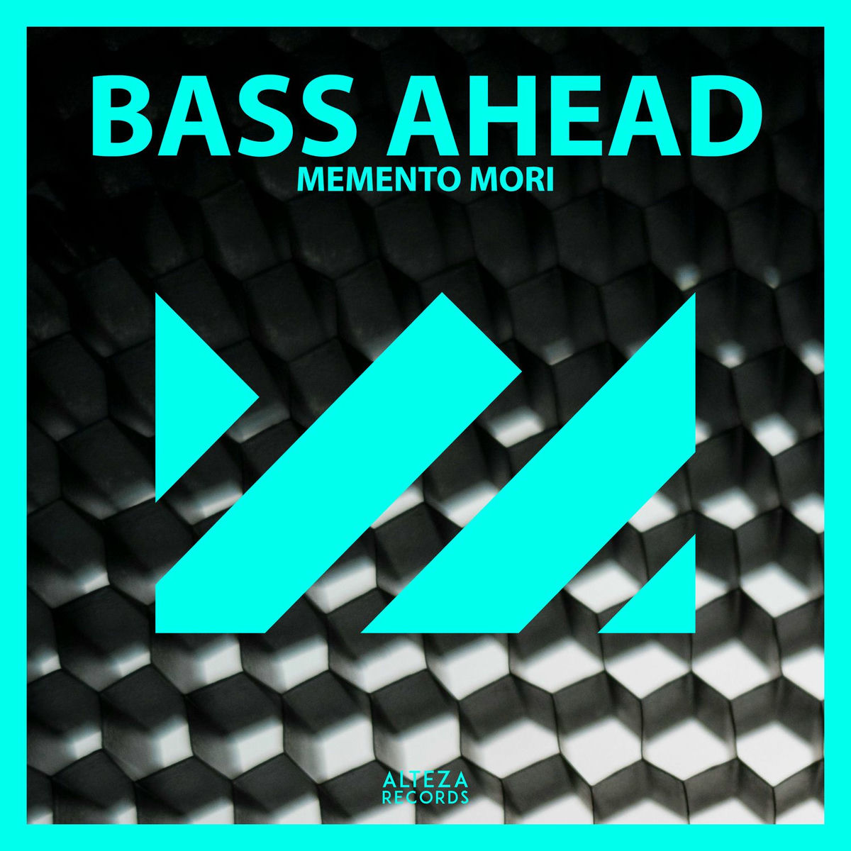 Album cover of Bass Ahead