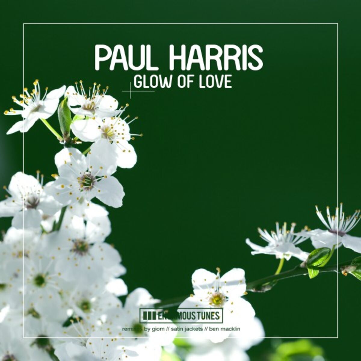Album cover of Glow of Love