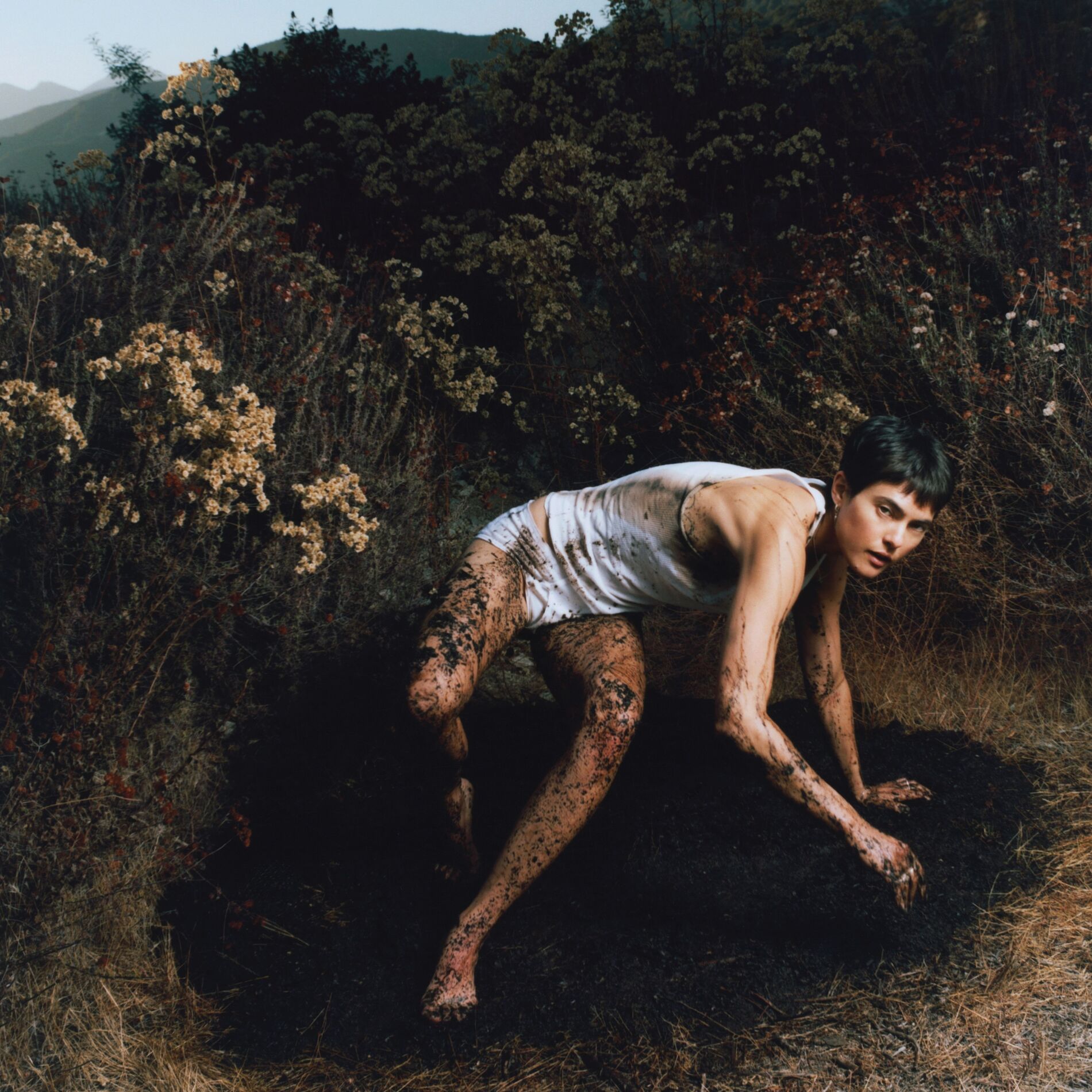 Album cover of Light Through the Linen