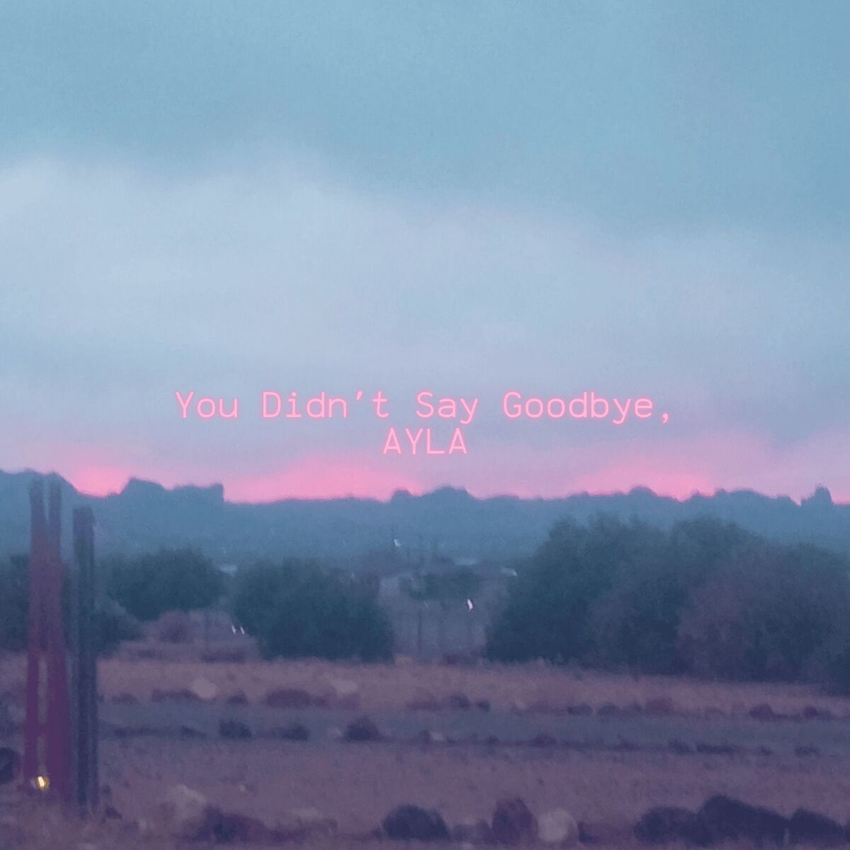 Album cover of You Didn't Say Goodbye.