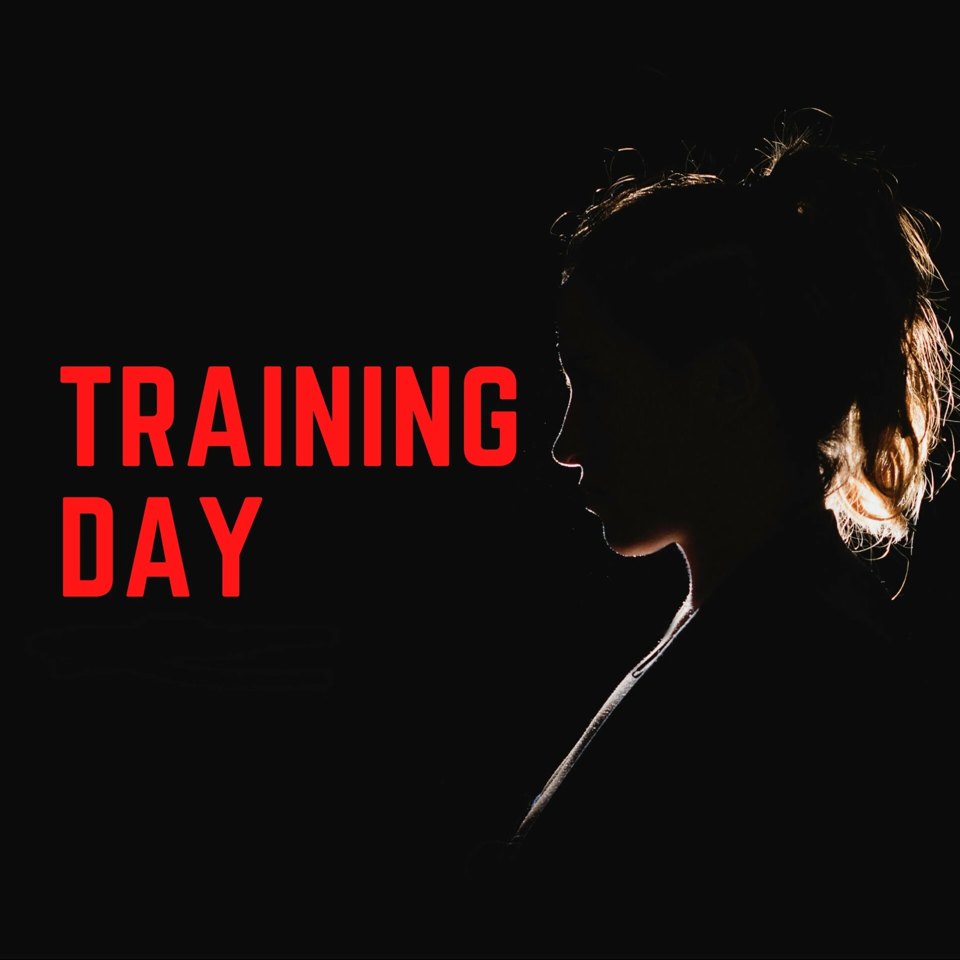 Album cover of Training Day