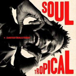 Cover of Soul Tropical
