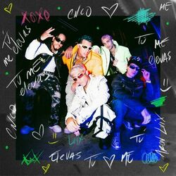 Cover of Tu Me Elevas