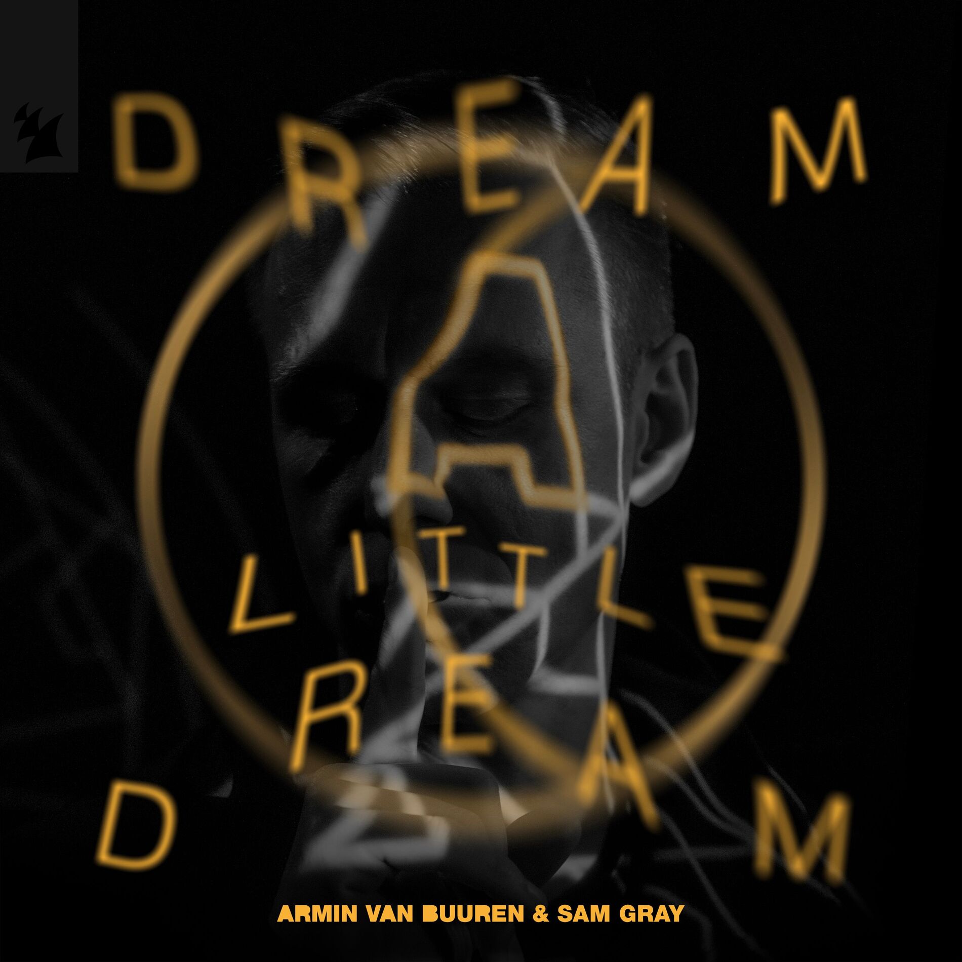 Album cover of Dream A Little Dream
