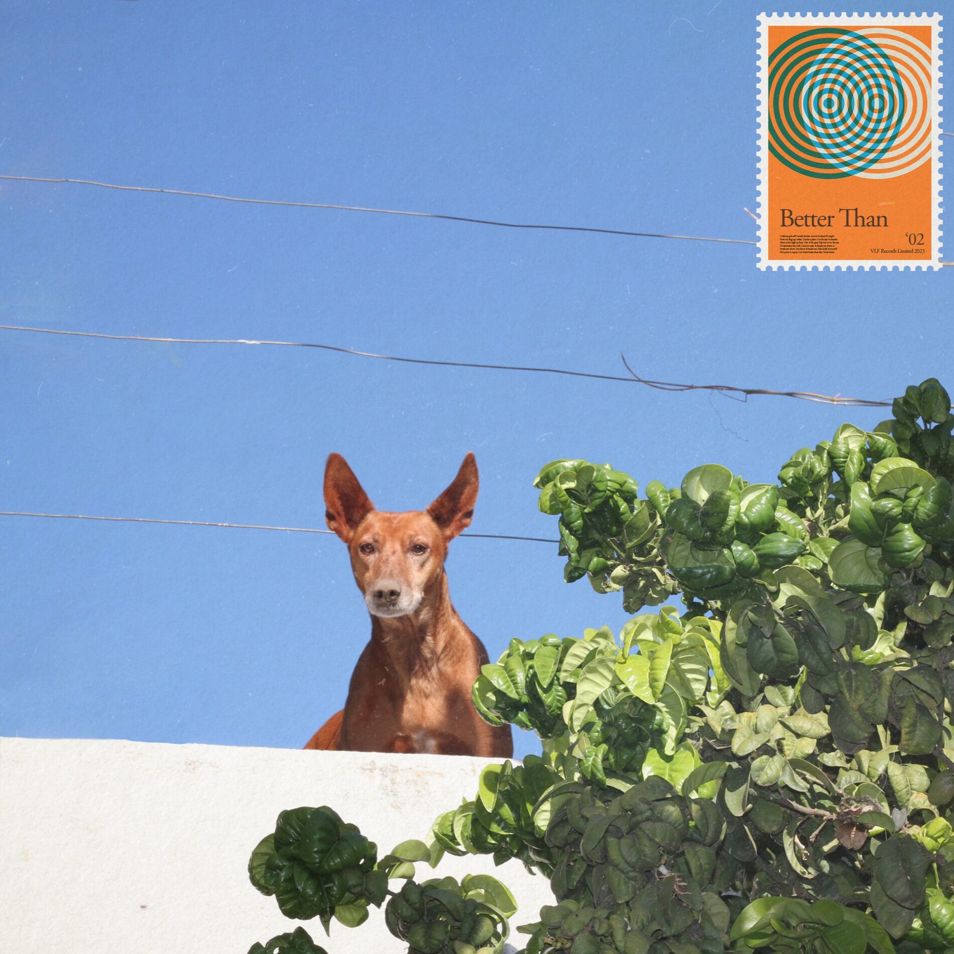 Album cover of Better Than