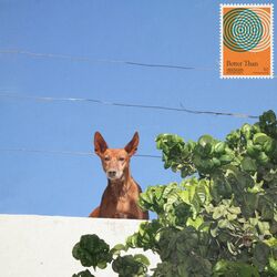 Cover of Better Than