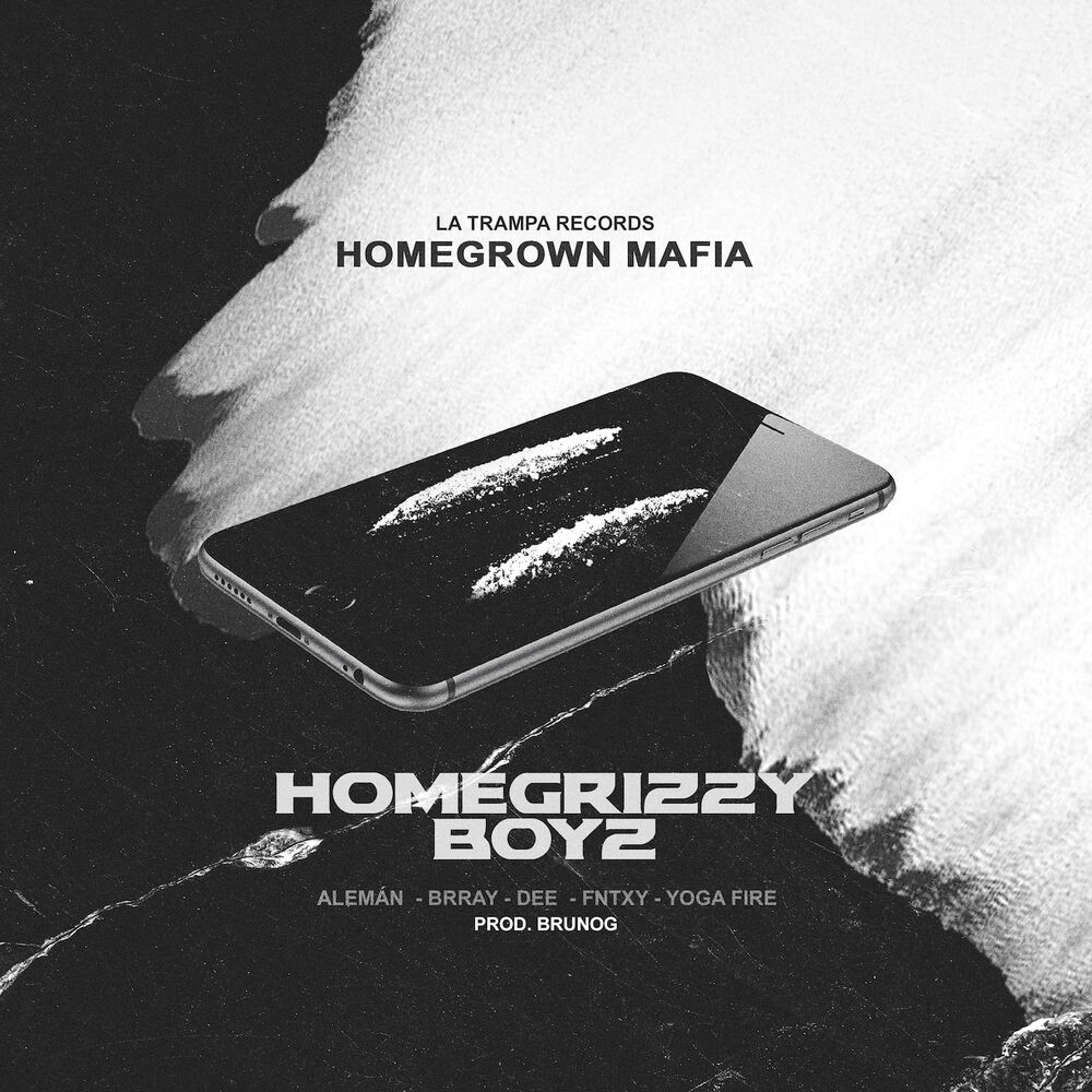 Picture of Homegrizzy Boyz