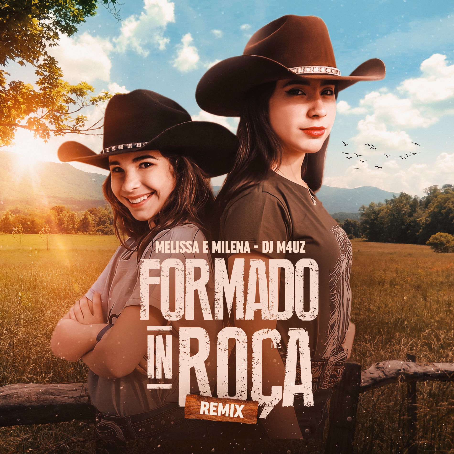 Album cover of Formado In Roça (Remix)