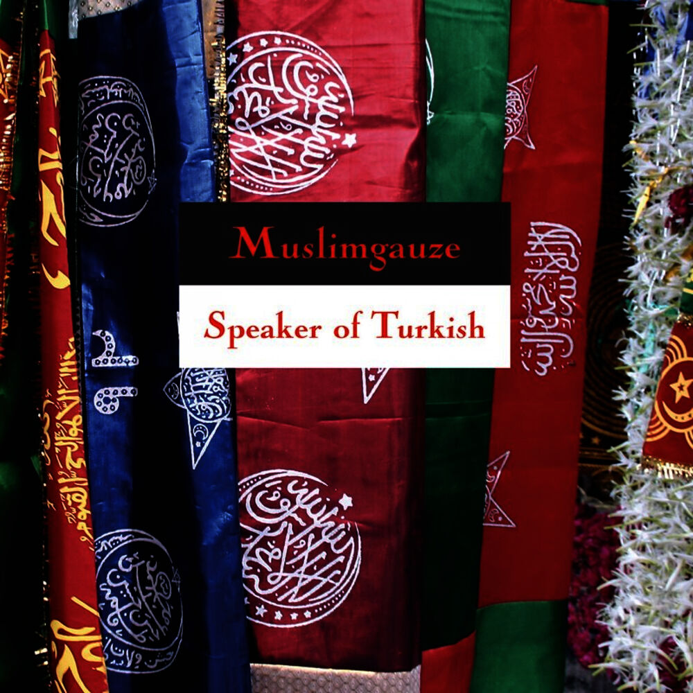 Picture of Speaker of Turkish