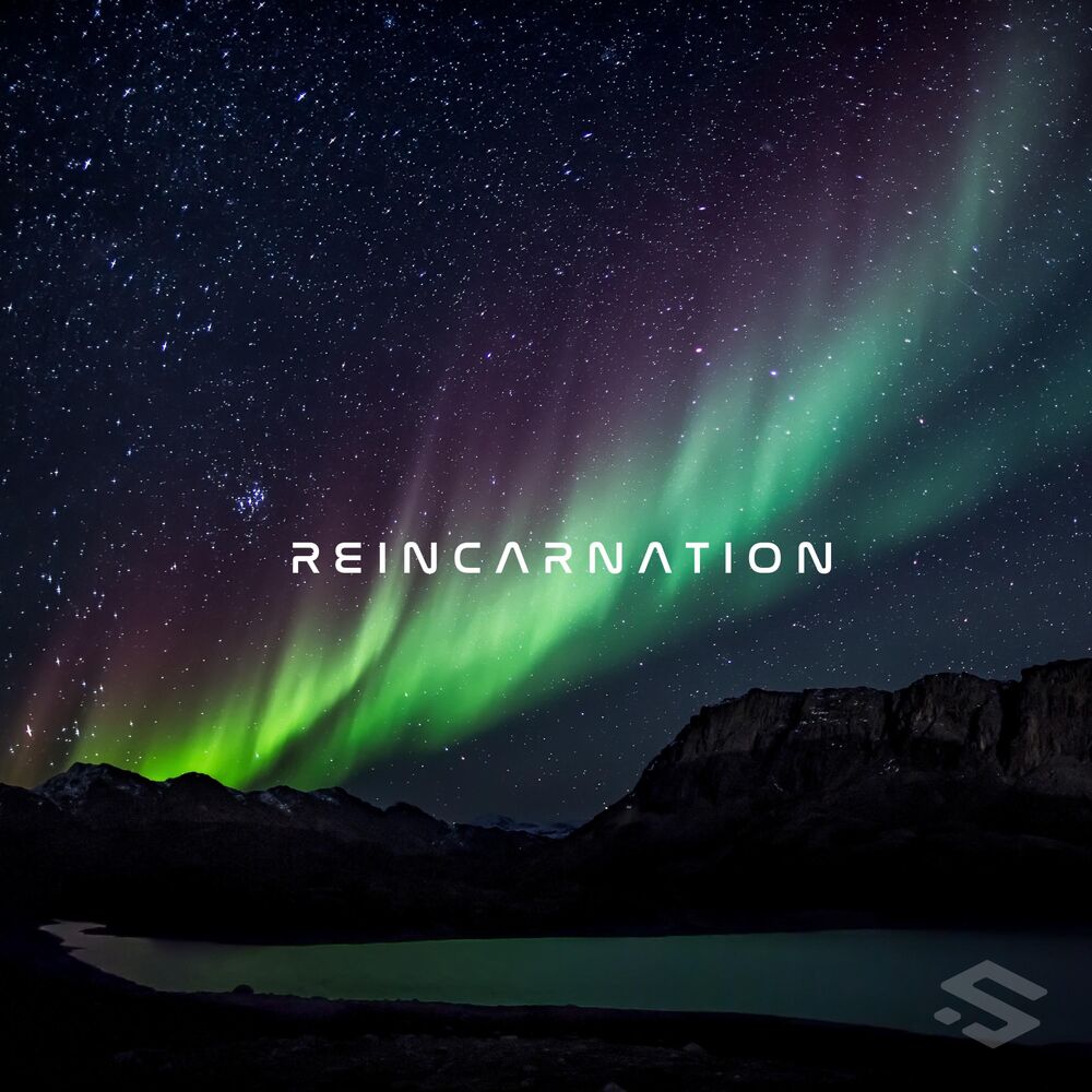 Picture of Reincarnation