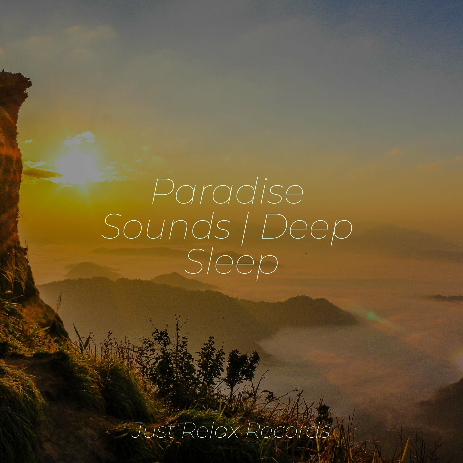 Album cover of Paradise Sounds | Deep Sleep