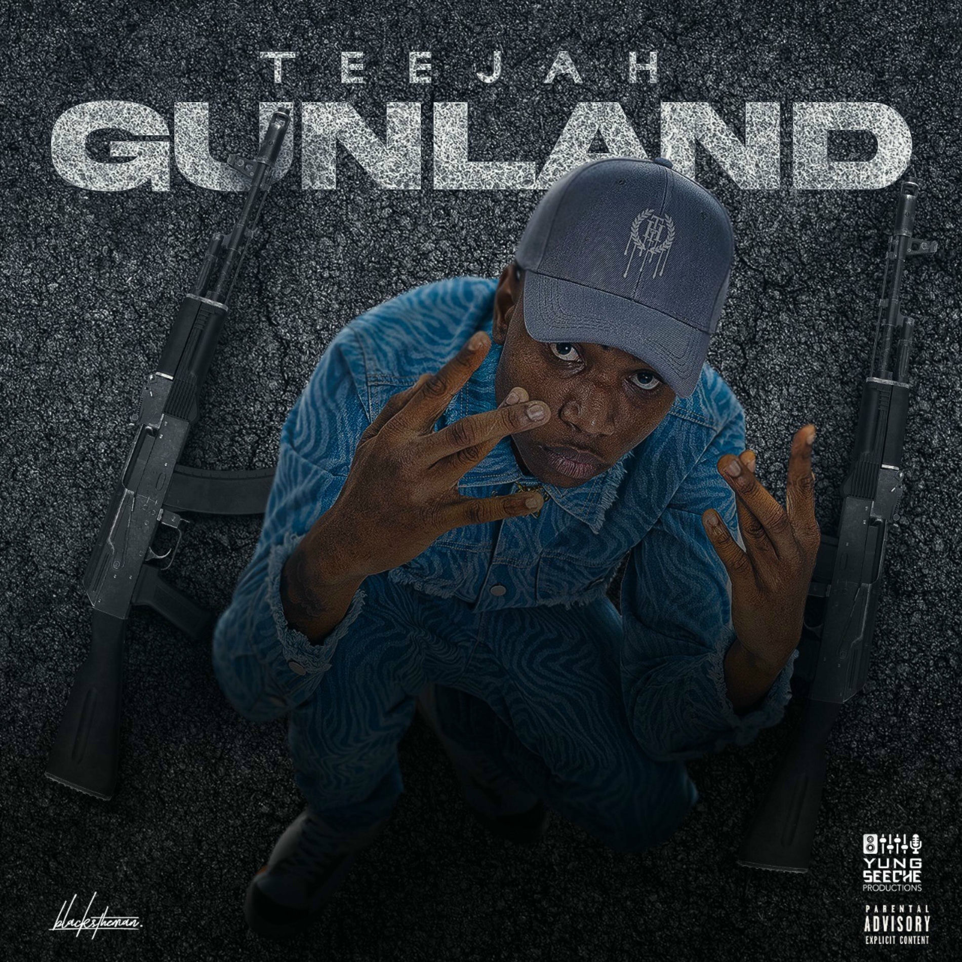Album cover of Gunland
