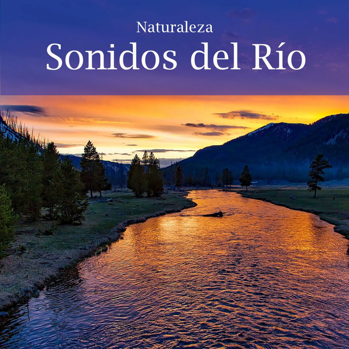 Album cover of Naturaleza: Sonidos del Rio