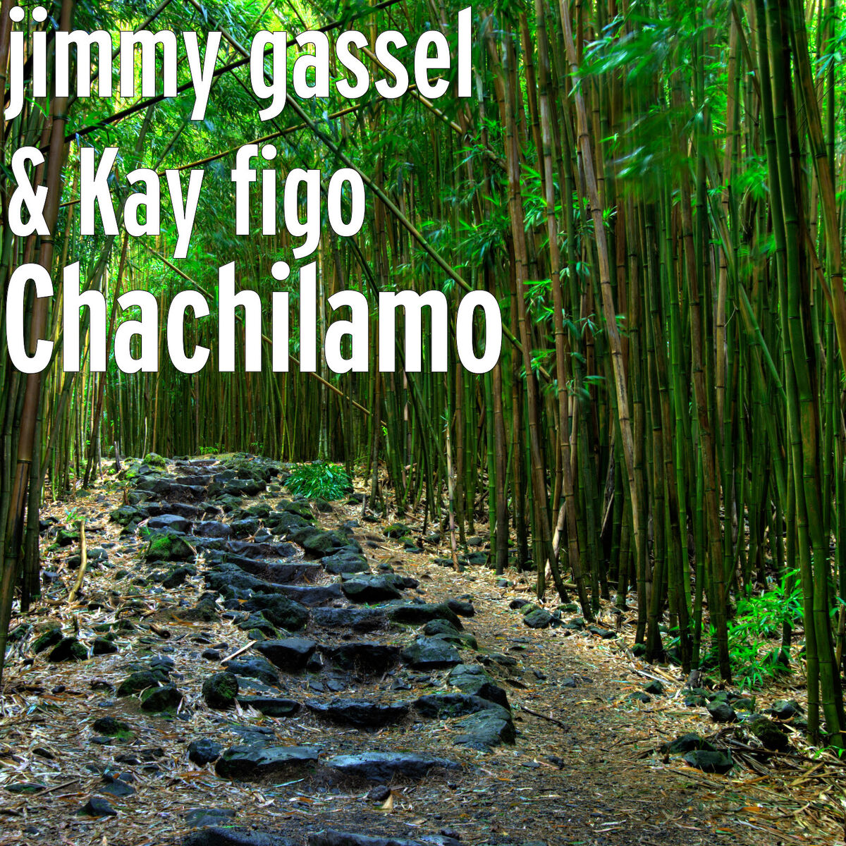 Album cover of Chachilamo