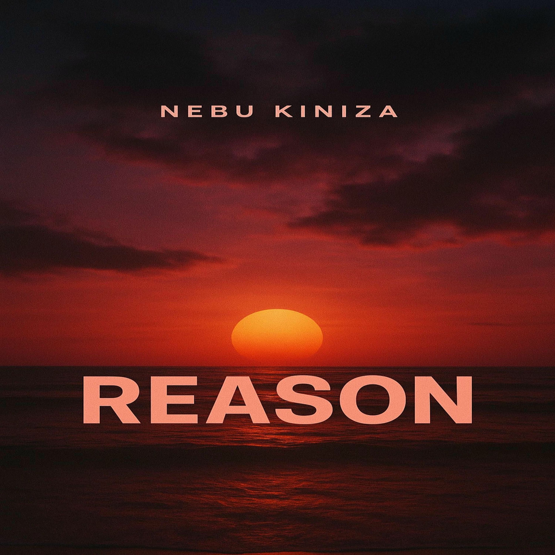 Album cover of Reason