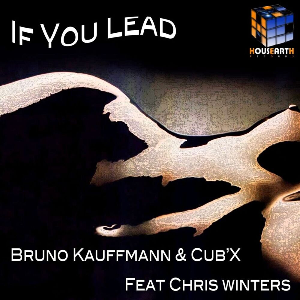 Picture of If You Lead
