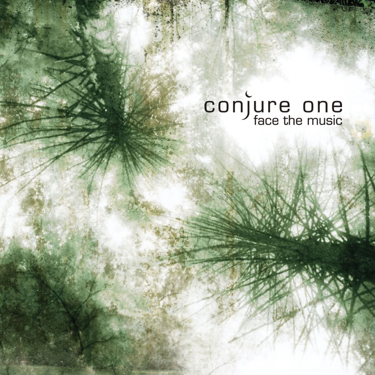 Album cover of Face The Music