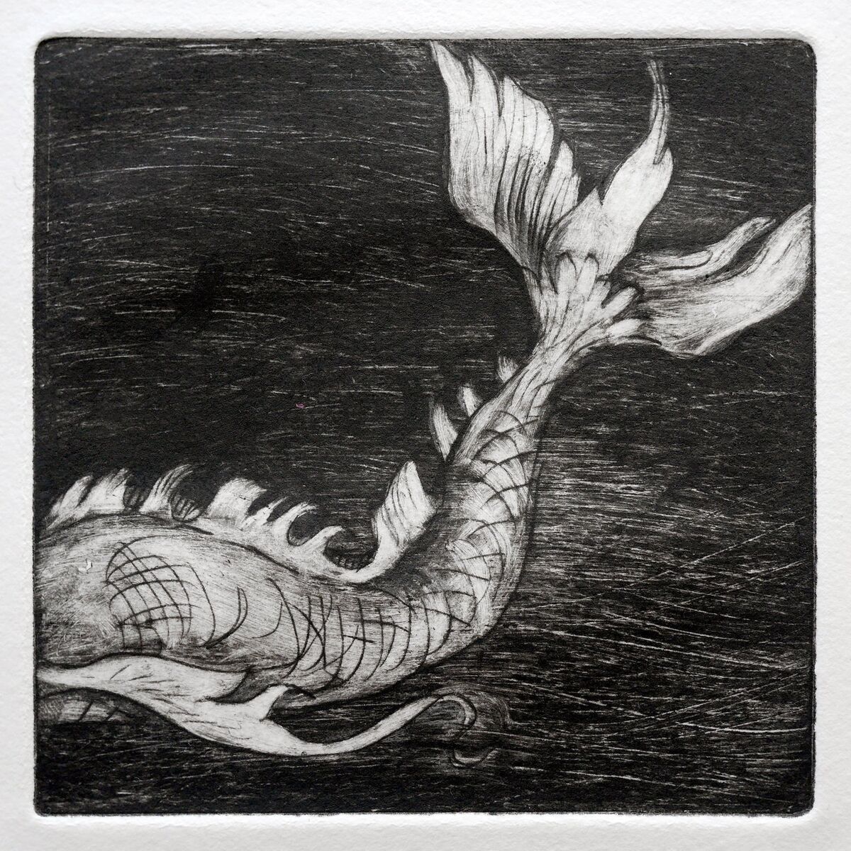 Album cover of Le Bestiaire: XIV. Orphée 2