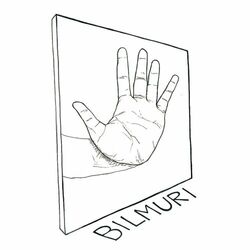 Cover of Bilmuri
