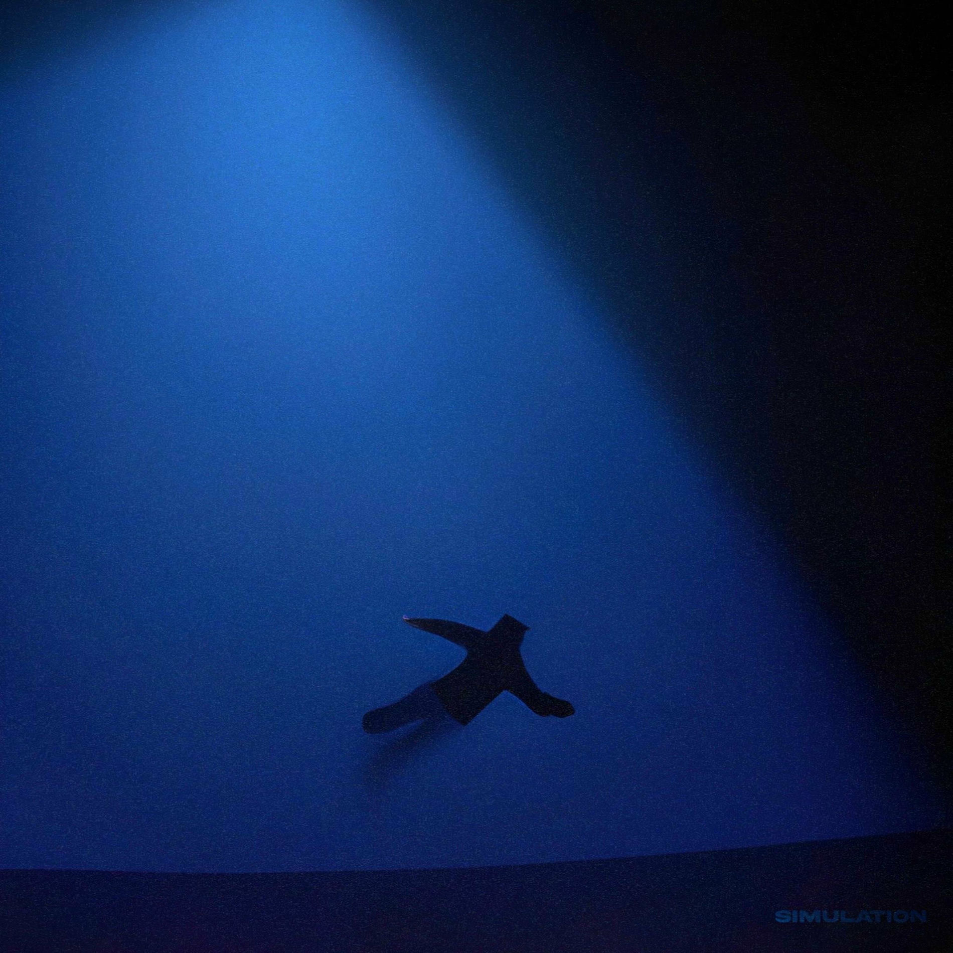 Album cover of SIMULATION