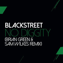 Cover of No Diggity (Sam Wilkes & Brian Green Remix)