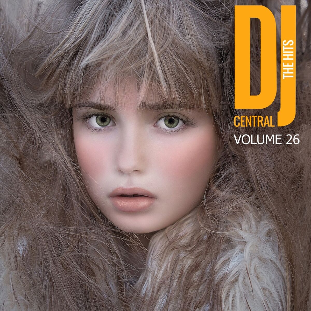 Album cover of The Hits Vol, 26