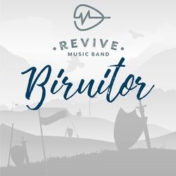 Cover of Biruitor