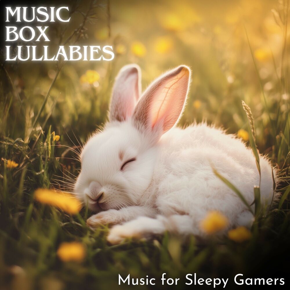 Picture of Music for Sleepy Gamers