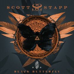 Cover of Black Butterfly