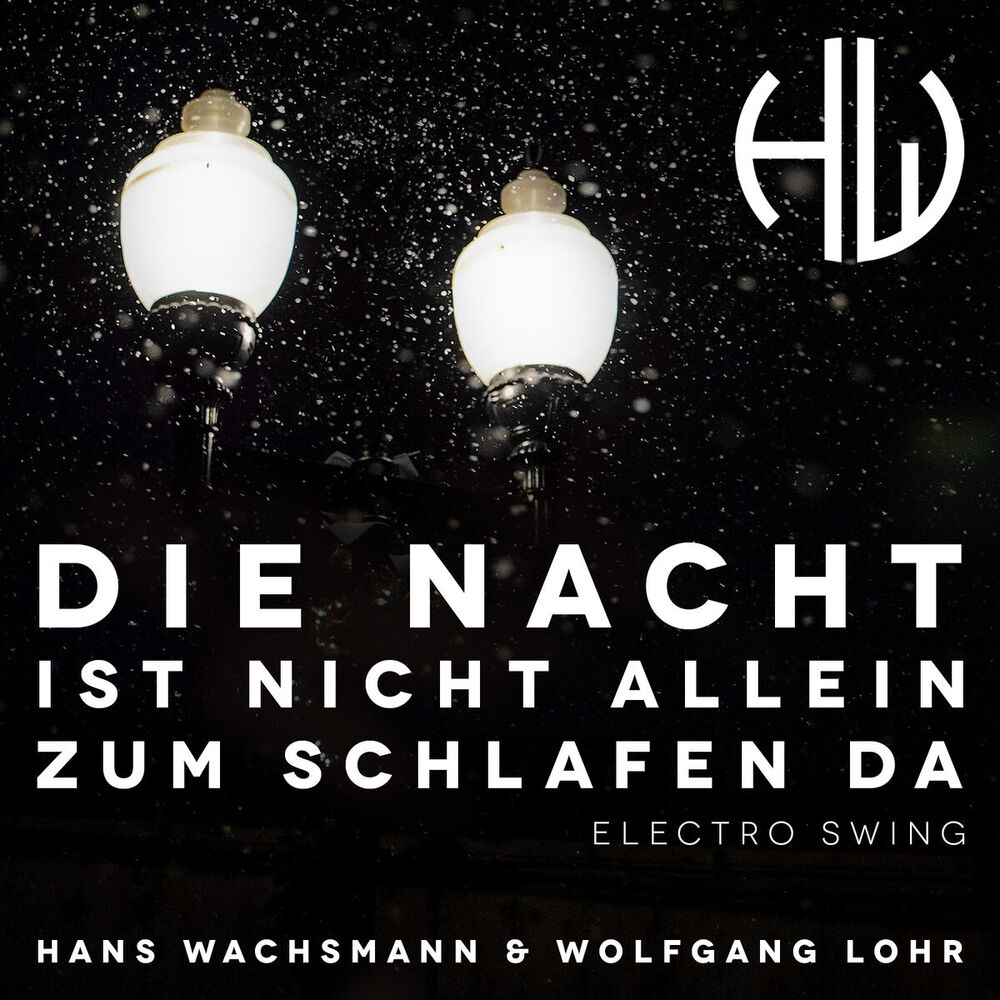 Picture of Die Nacht Ist Nicht Allein Zum Schlafen da (Electro Swing)