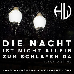 Cover of Die Nacht Ist Nicht Allein Zum Schlafen da (Electro Swing)
