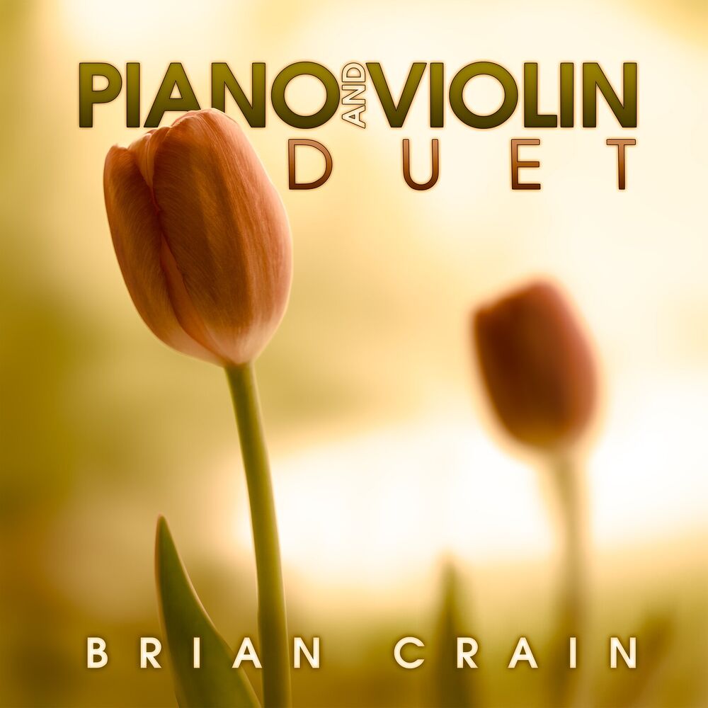 Picture of Piano and Violin Duet