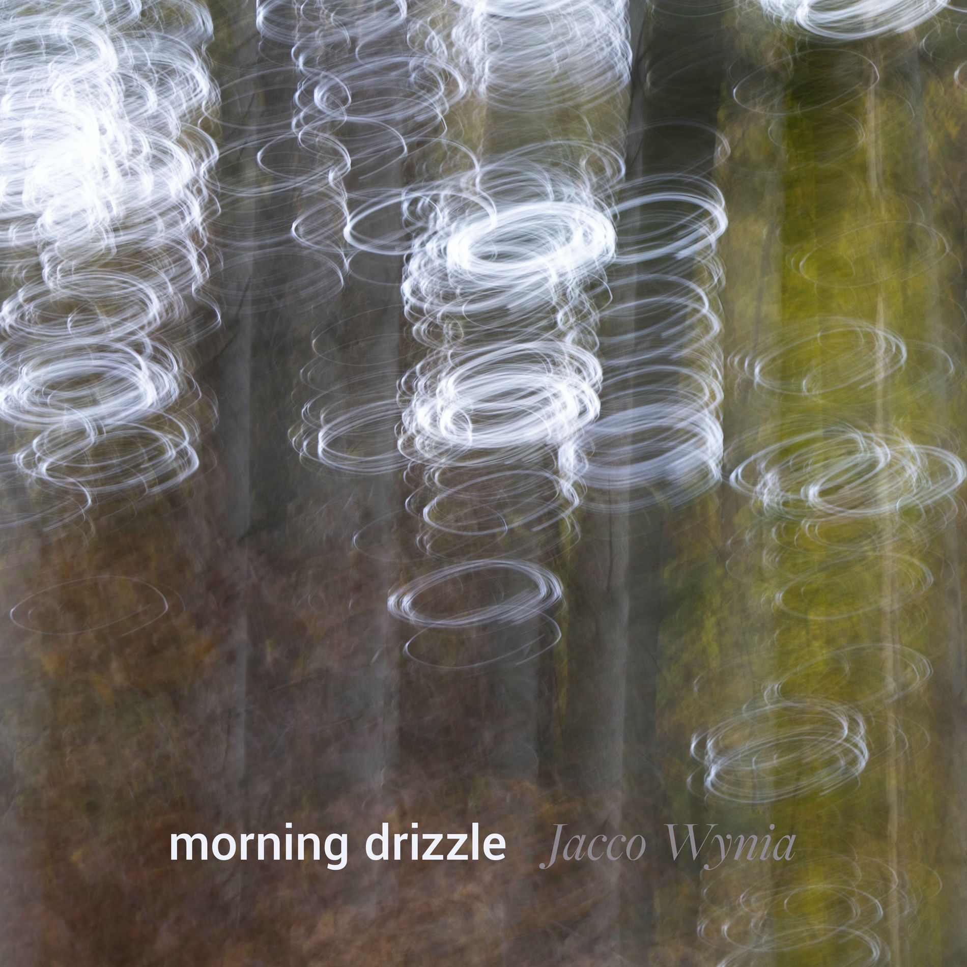 Album cover of morning drizzle