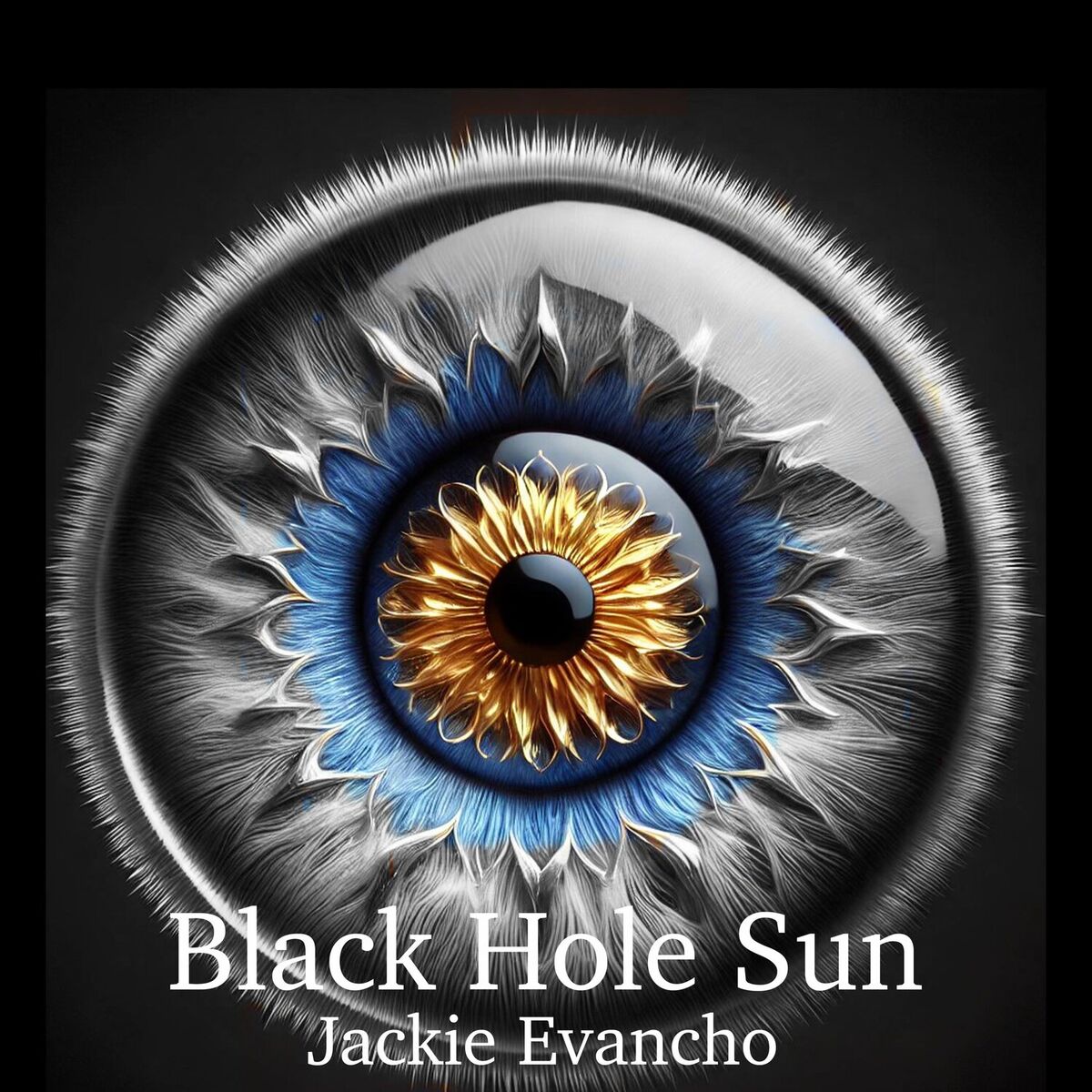 Album cover of Black Hole Sun