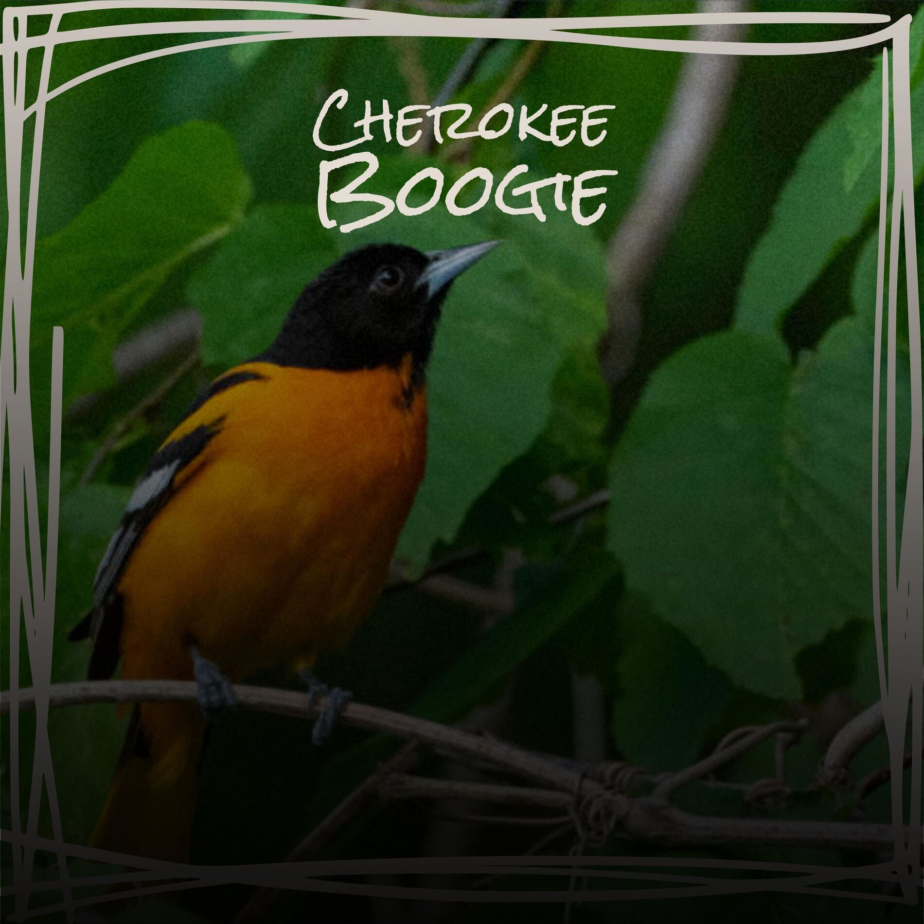 Album cover of Cherokee Boogie