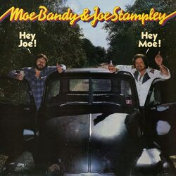 Cover of Hey Joe! Hey Moe!