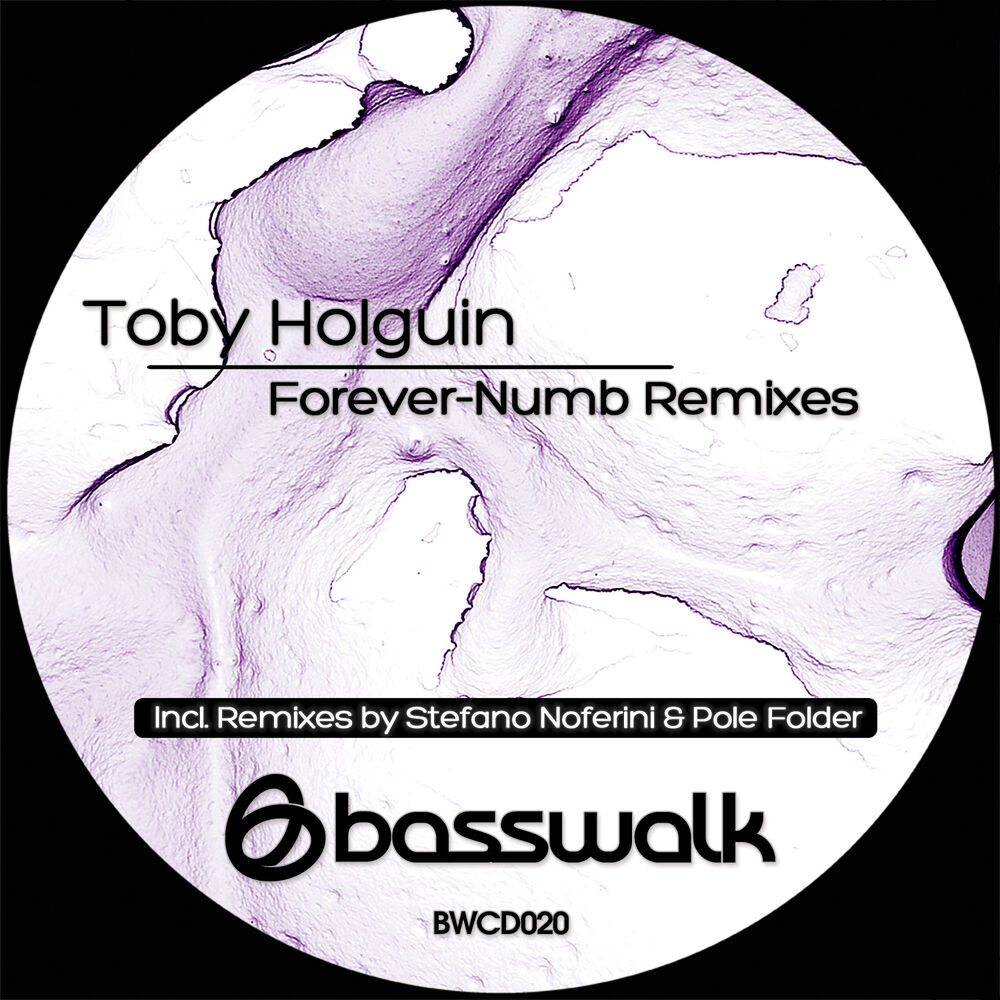 Picture of Forever-Numb Remixes