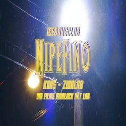 Cover of Nipefino