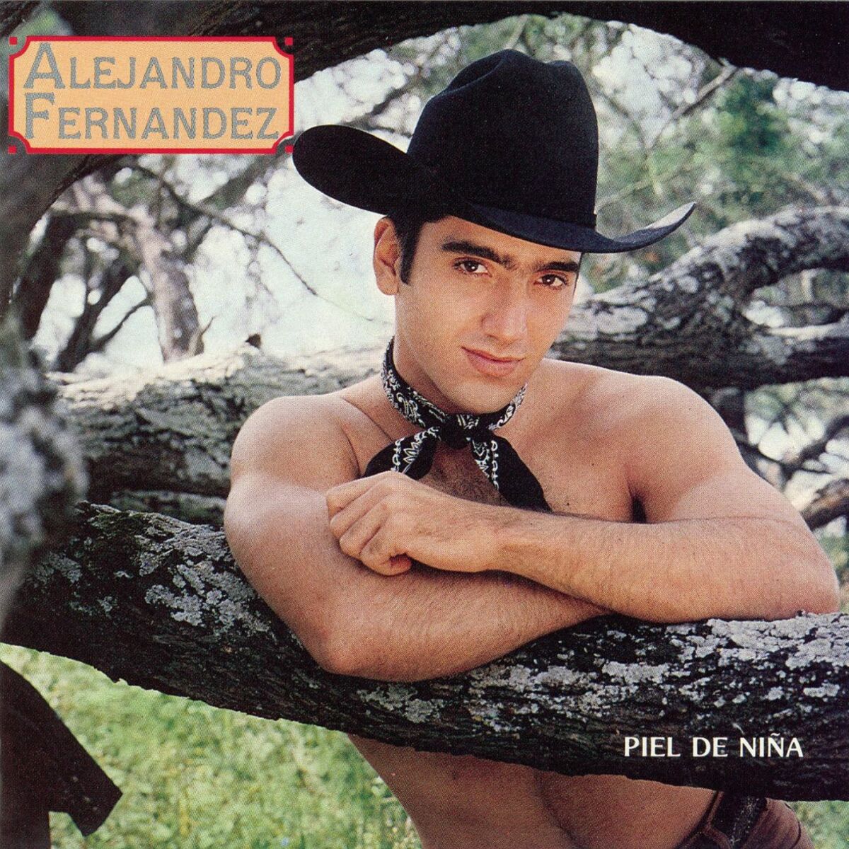 Album cover of Piel De Niña