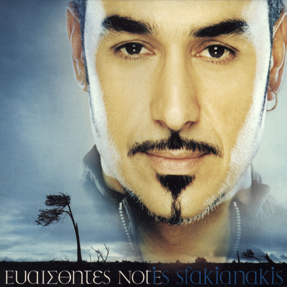 Album cover of Evesthites Notes