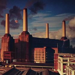Cover of Animals