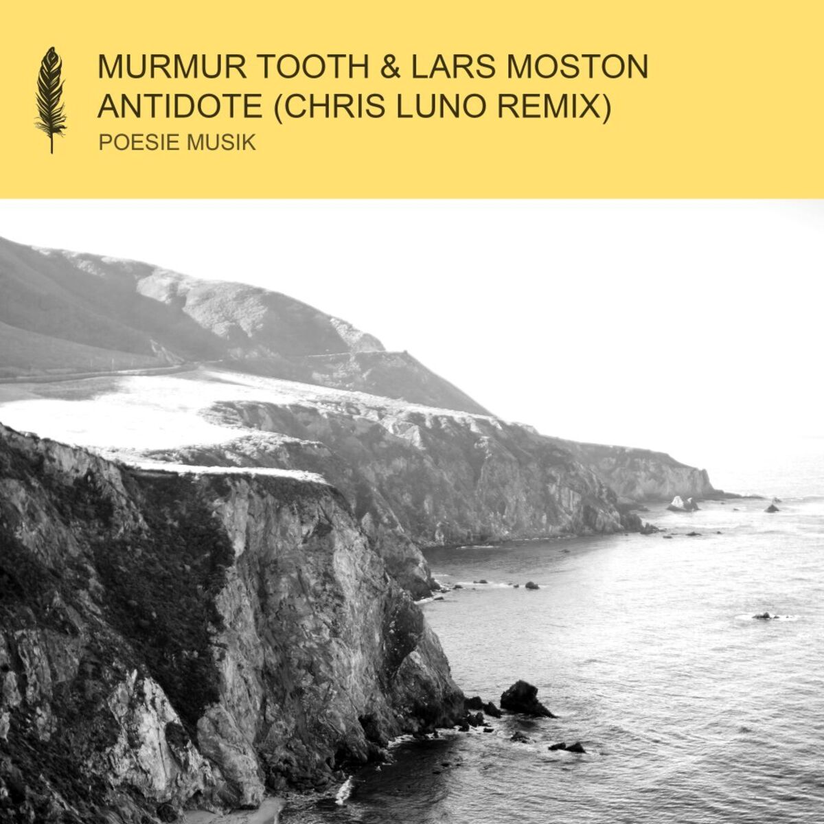 Album cover of Antidote (Chris Luno Remix)
