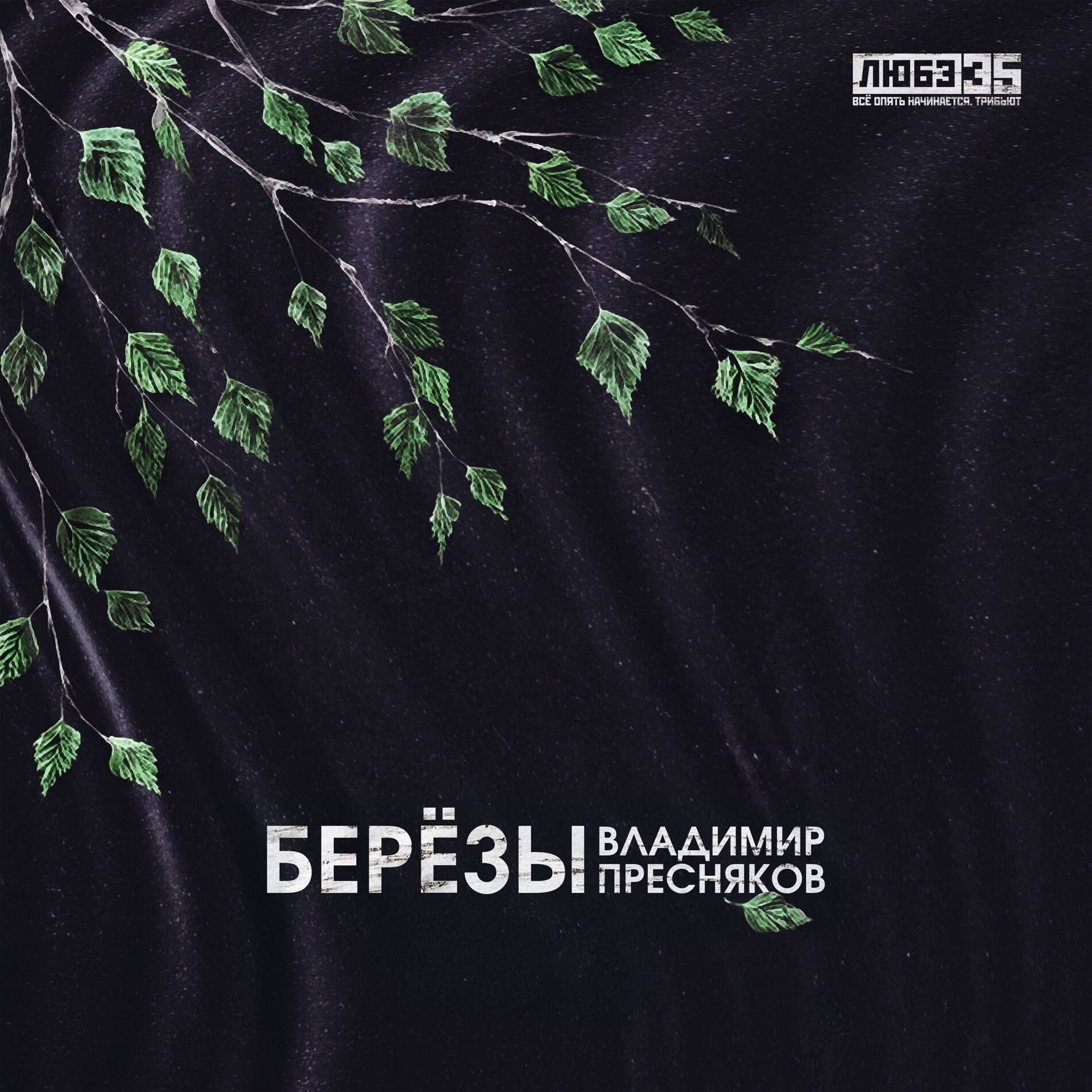 Album cover of Берёзы (Любэ 35. Всё опять начинается. Трибьют)