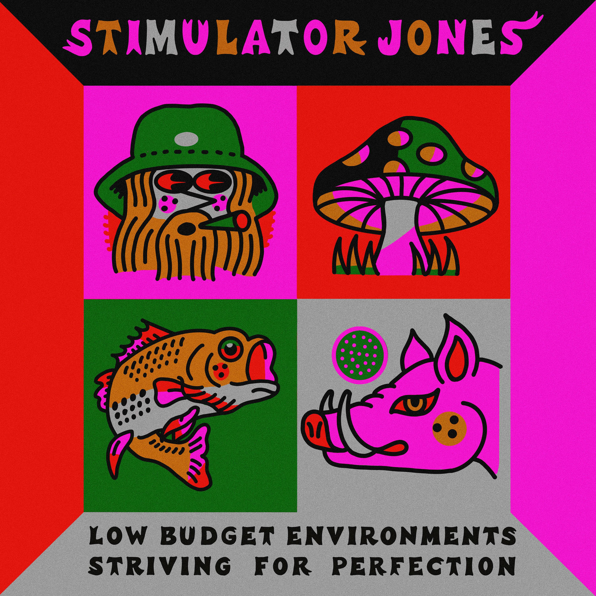 Album cover of Low Budget Environments Striving For Perfection