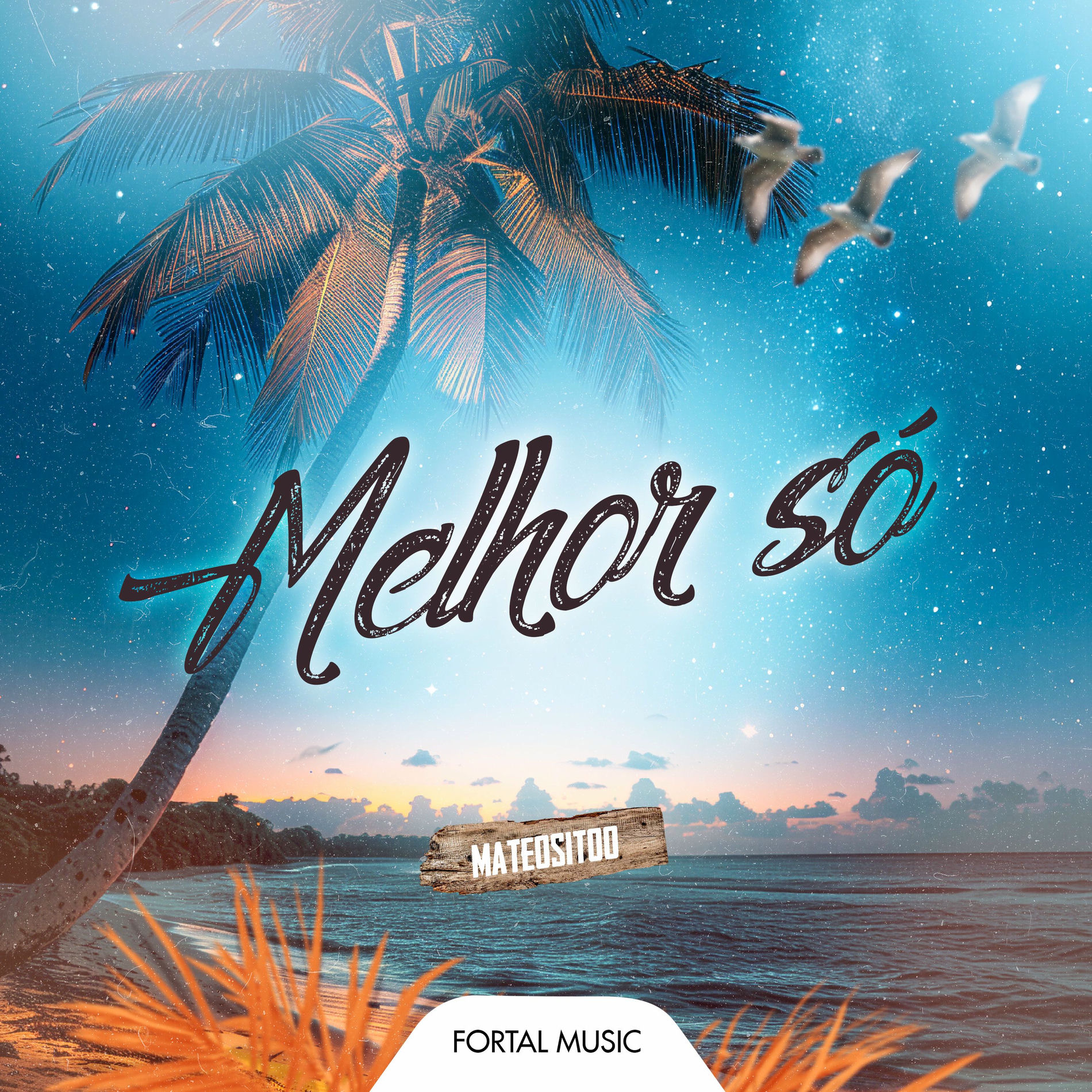 Album cover of Melhor Só (Remix)