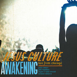 Cover of Awakening - Live From Chicago