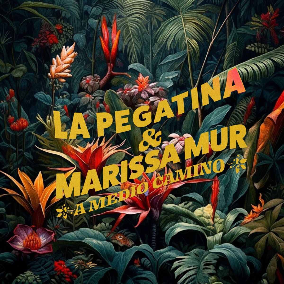 Album cover of A medio camino