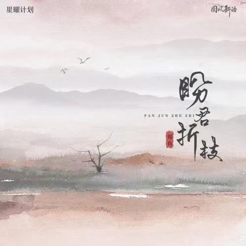 盼君折枝 (DJ亚明版)
